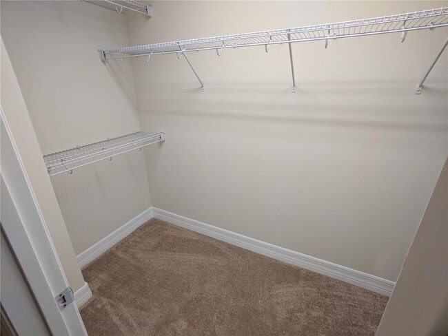 Building Photo - 2611 Amati Dr