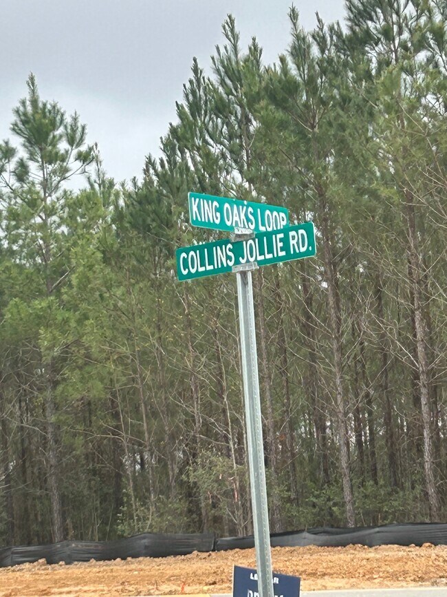 Building Photo - 1732 King Oaks Lp