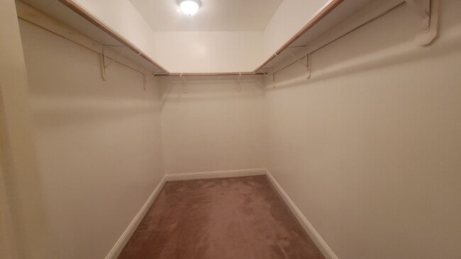 Building Photo - 3111 Stoney Peak Ln