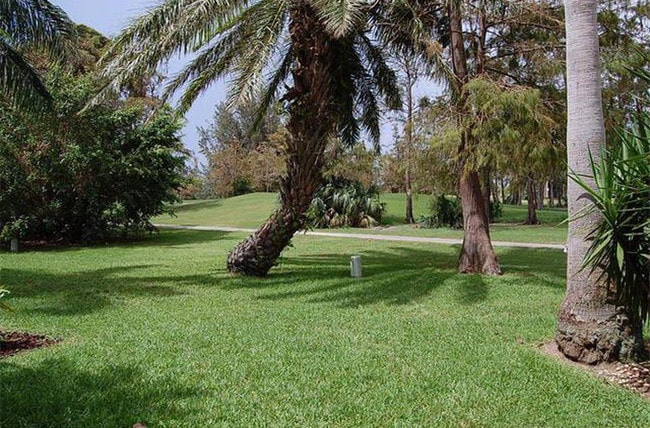 Building Photo - 8149 Lagos De Campo Blvd