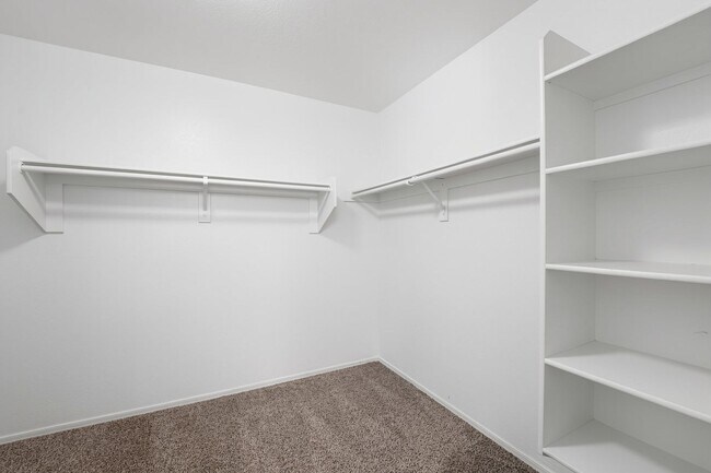 Building Photo - Freshly Updated 4 Bed | New Carpet, New Appliances & Open Layout
