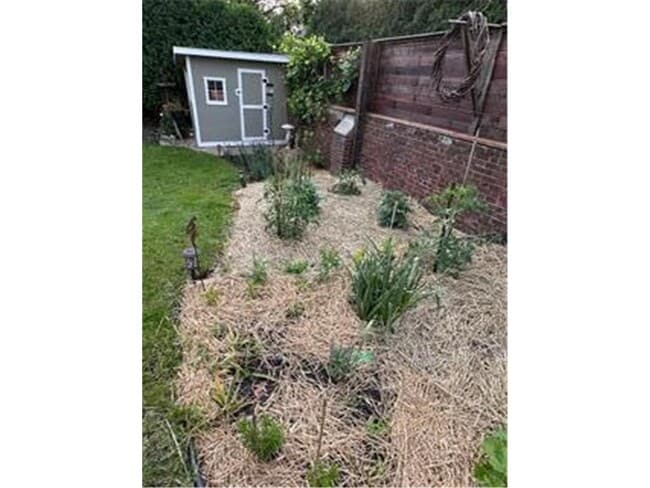 Building Photo - 139 Otis Avenue