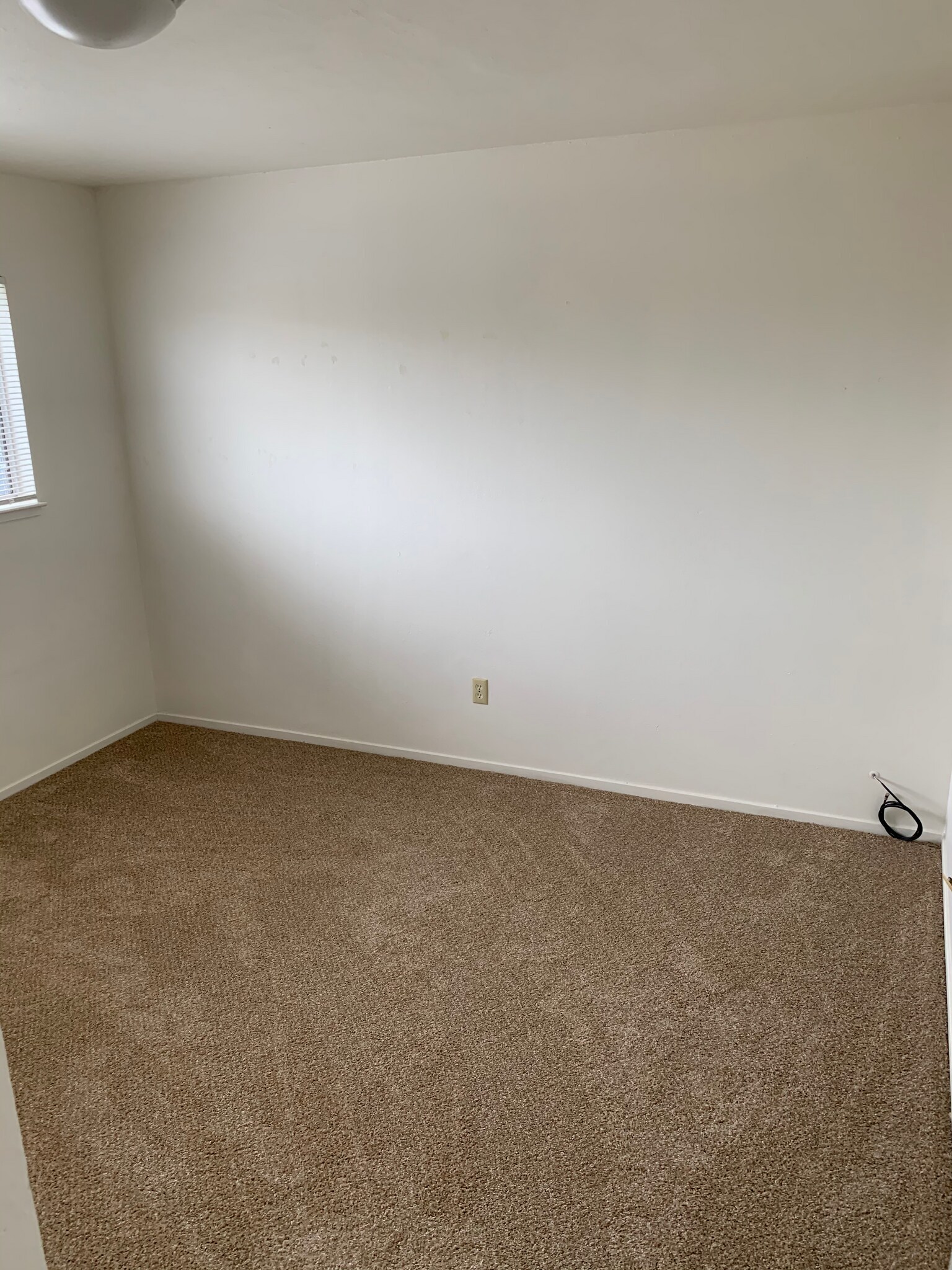 Building Photo - 906 Channing Way