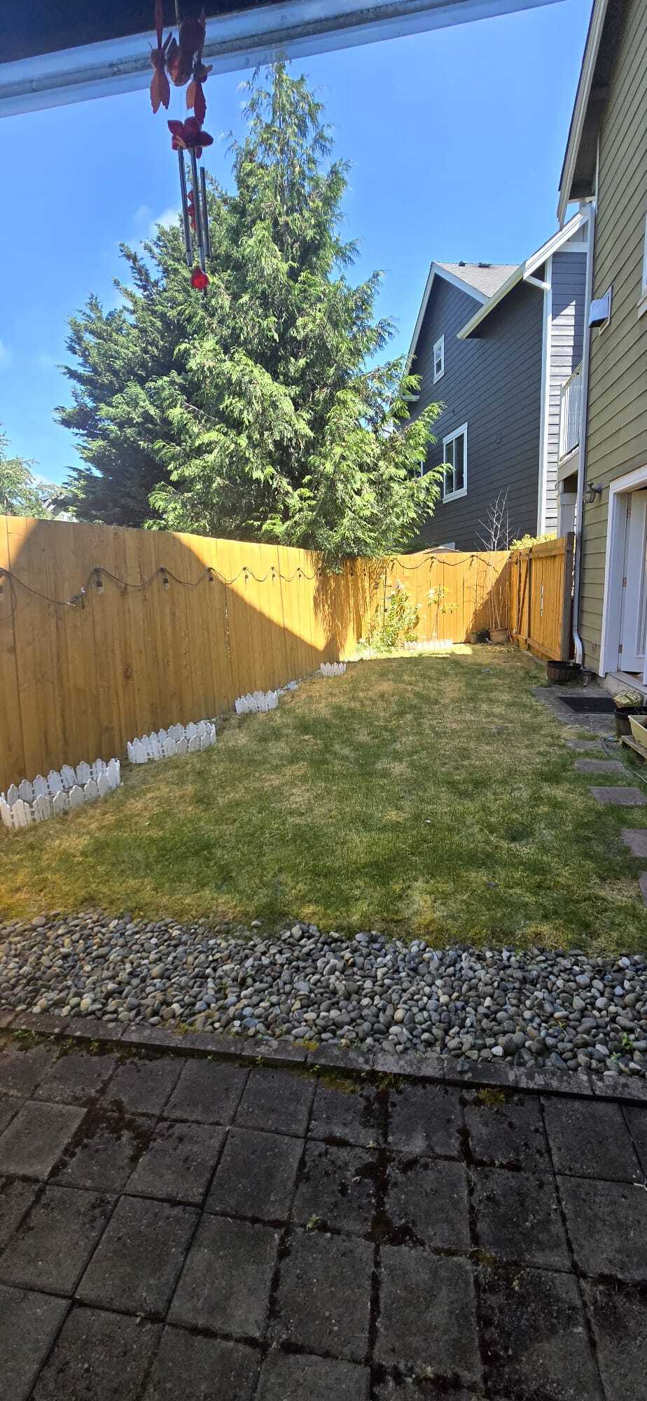 BackYard - 15408 14th Ave W