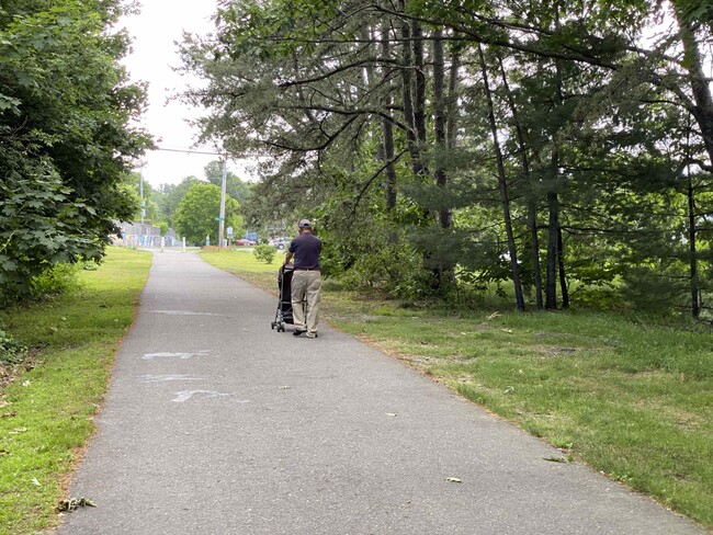 Building Photo - 4 Martin St