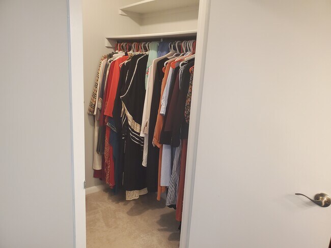 Building Photo - 3701 S George Mason Dr