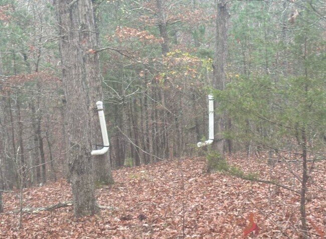 Building Photo - 13.2-Acres With Cabin! - $ 890 Month / $15...