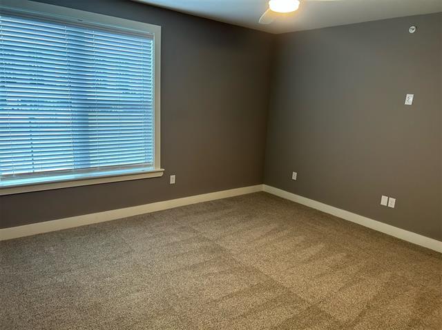 Building Photo - 3517 Windhaven Pkwy