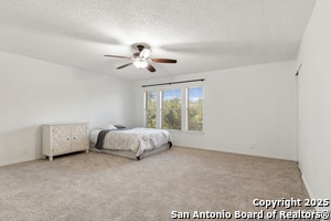 Building Photo - 11053 Cedar Park