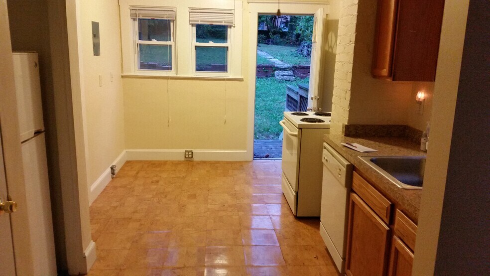 Looking from Kitchen out the rear door - 619 Mississippi Ave