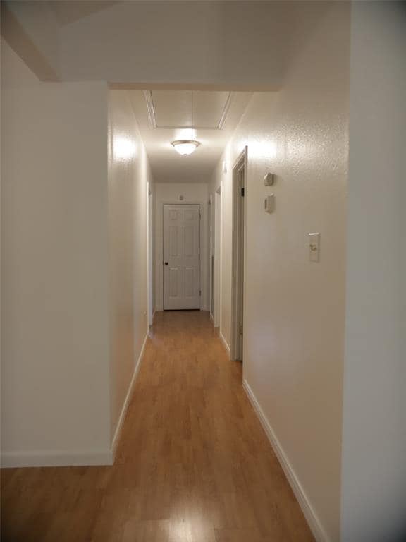 Building Photo - 1612 Buttercup Rd