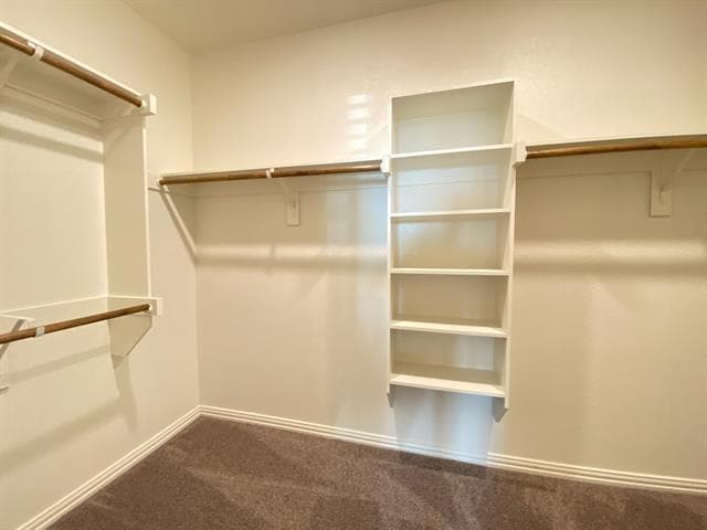 Building Photo - 3404 Solana Cir