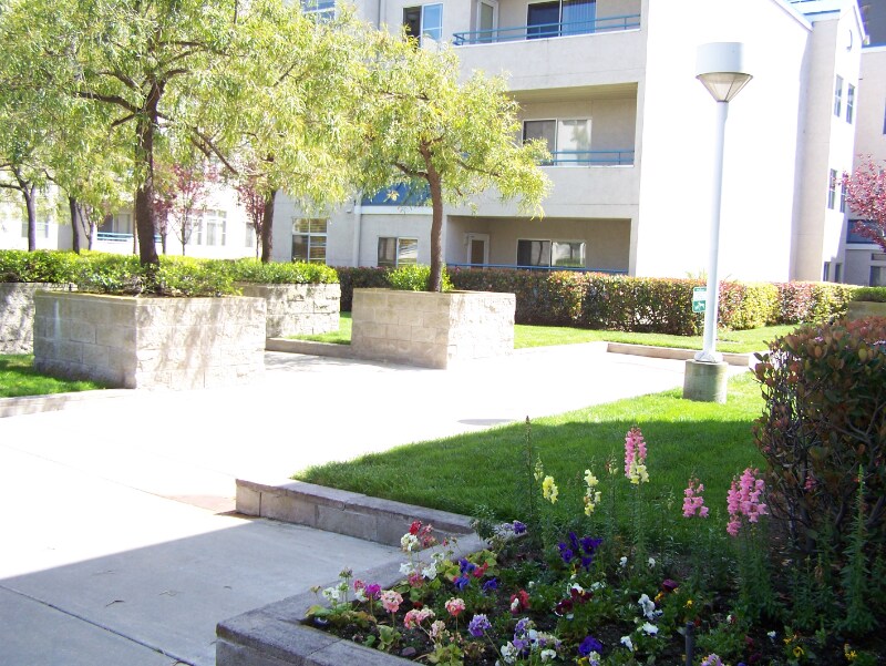 Building Photo - 535 Pierce St