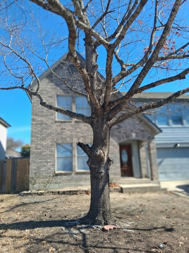 Building Photo - 874 Fillmore Dr