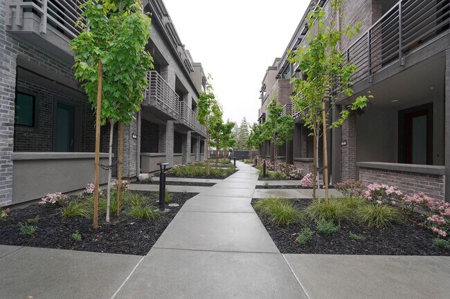 Building Photo - New Construction End Unit Luxury Townhome in Central Sunnyvale Location!