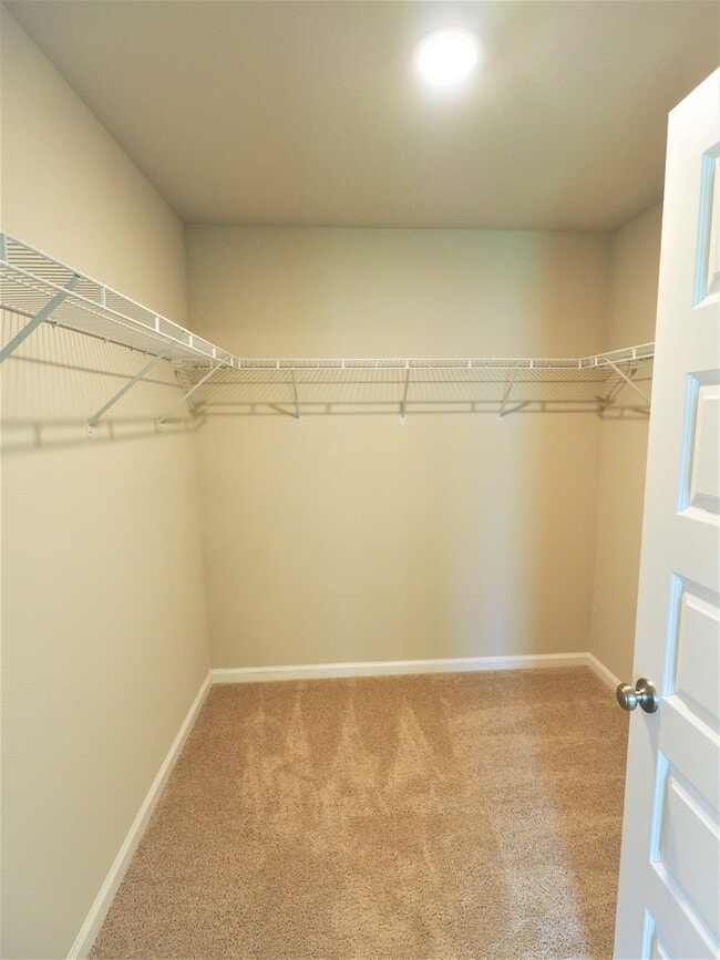Building Photo - 4 Bedroom home with community pool!