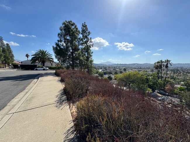 Building Photo - 4 Bedroom - 2 Bathroom with view