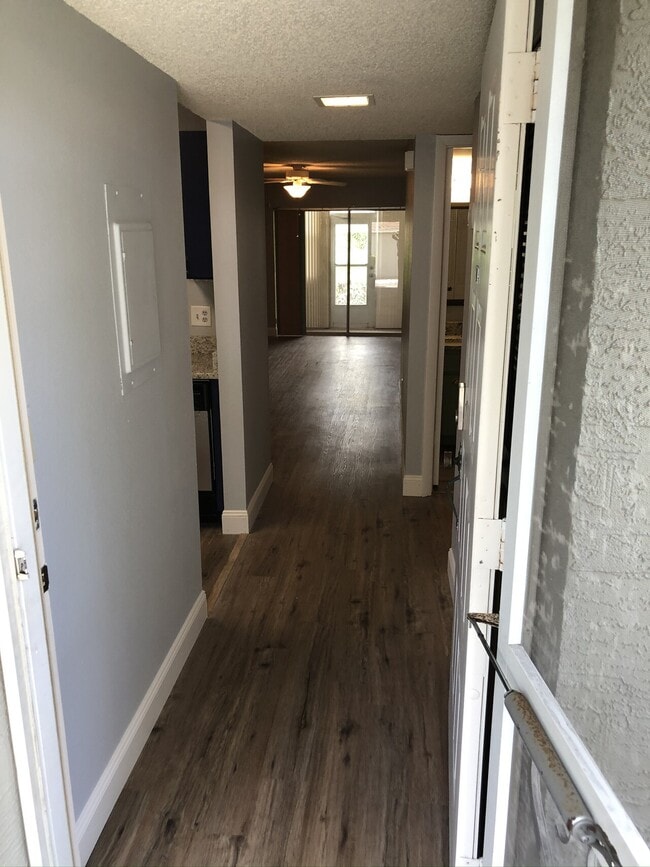 Building Photo - Dunedin Condo