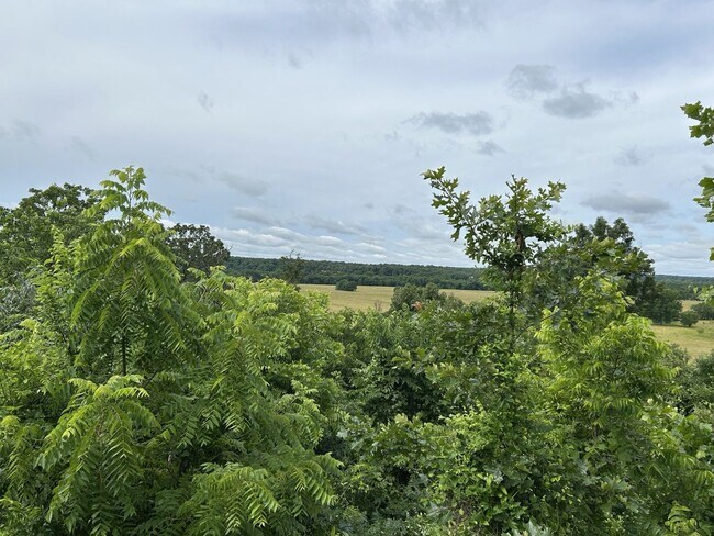 You Won't Believe the View! 2BR/2BA House... - You Won't Believe the View!  2BR/2BA House...