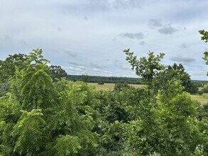 Building Photo - You Won't Believe the View!  2BR/2BA House...