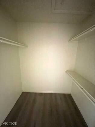 Building Photo - 2784 Belcastro St