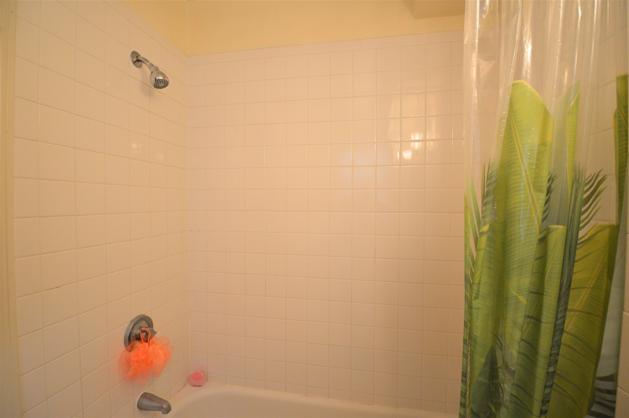 Building Photo - 1406 Beacon St