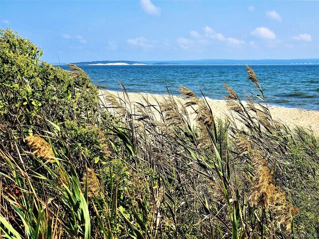 Building Photo - 1000 Rambler Rd