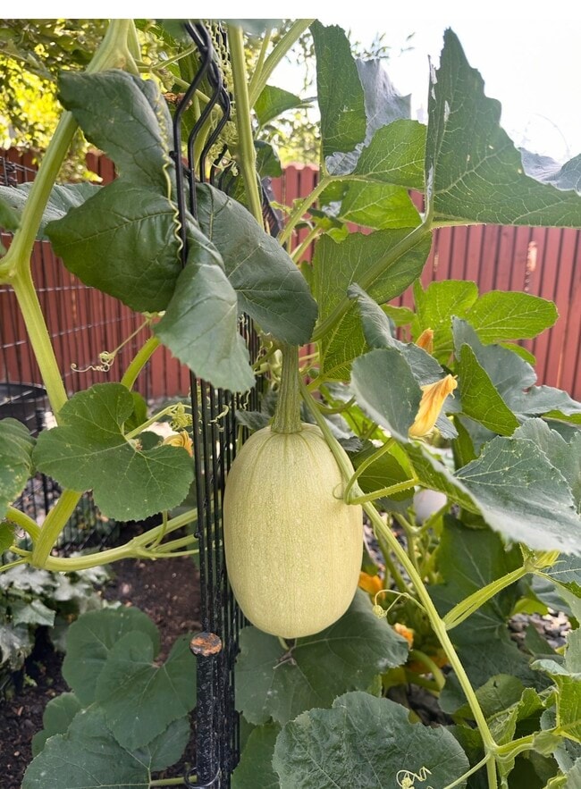 Building Photo - 2560 Fillmore Ave