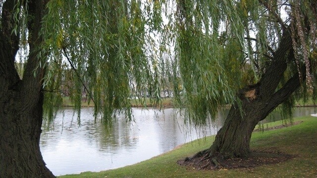 Building Photo - 925 Casey Ct