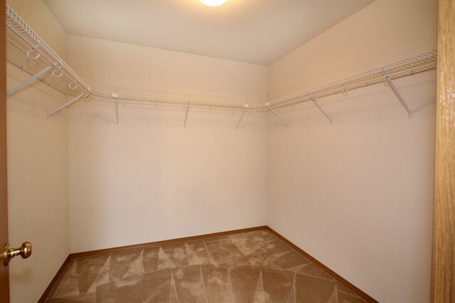 Building Photo - Beautiful 3 Bed 2.5 Bath Home in Renton