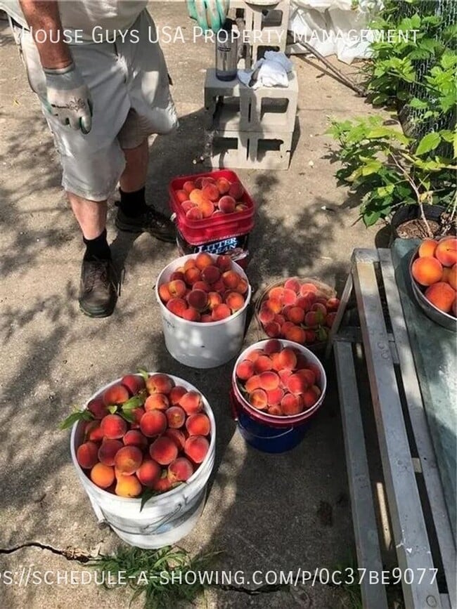 Building Photo - 515 Wabash Ave