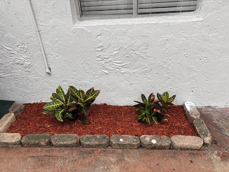 Building Photo - 12341 Westhampton Cir