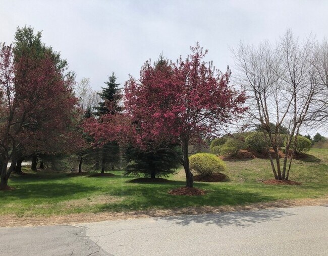 Building Photo - 226 Swanson Rd