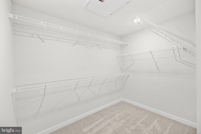 Building Photo - 6236 Folly Ln