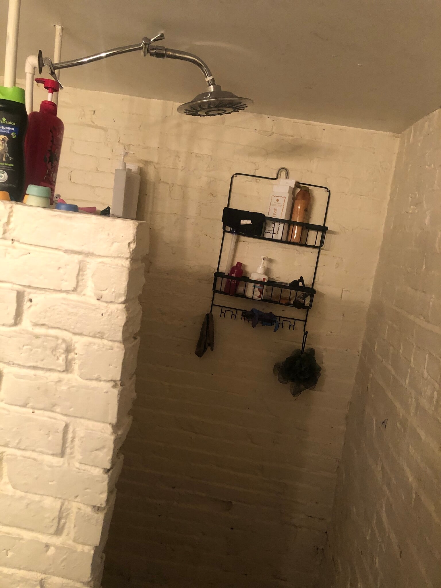 Building Photo - 100 College St