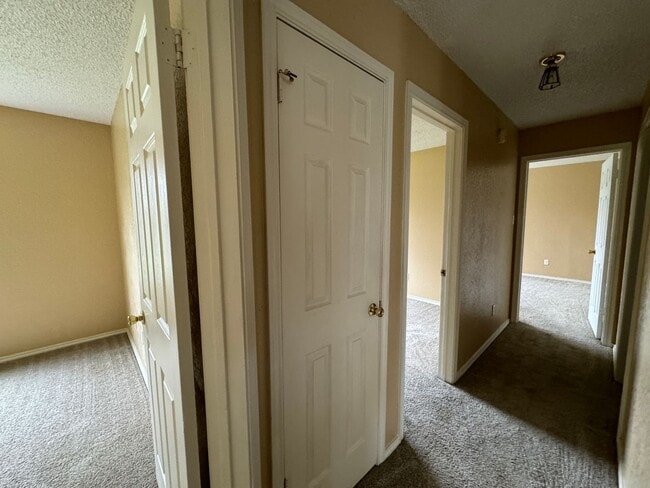 Building Photo - 3501 Rainforest Ln