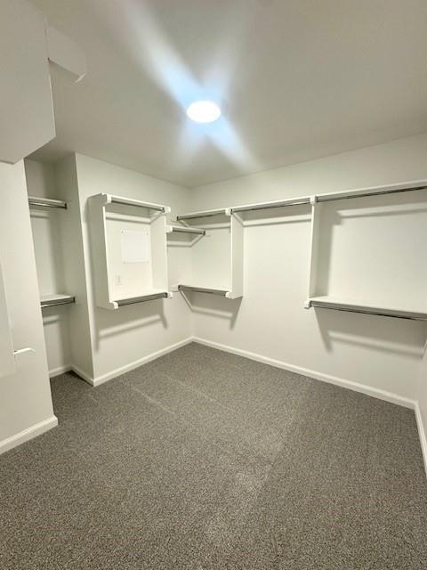 Building Photo - 3121 Mt Nebo Dr