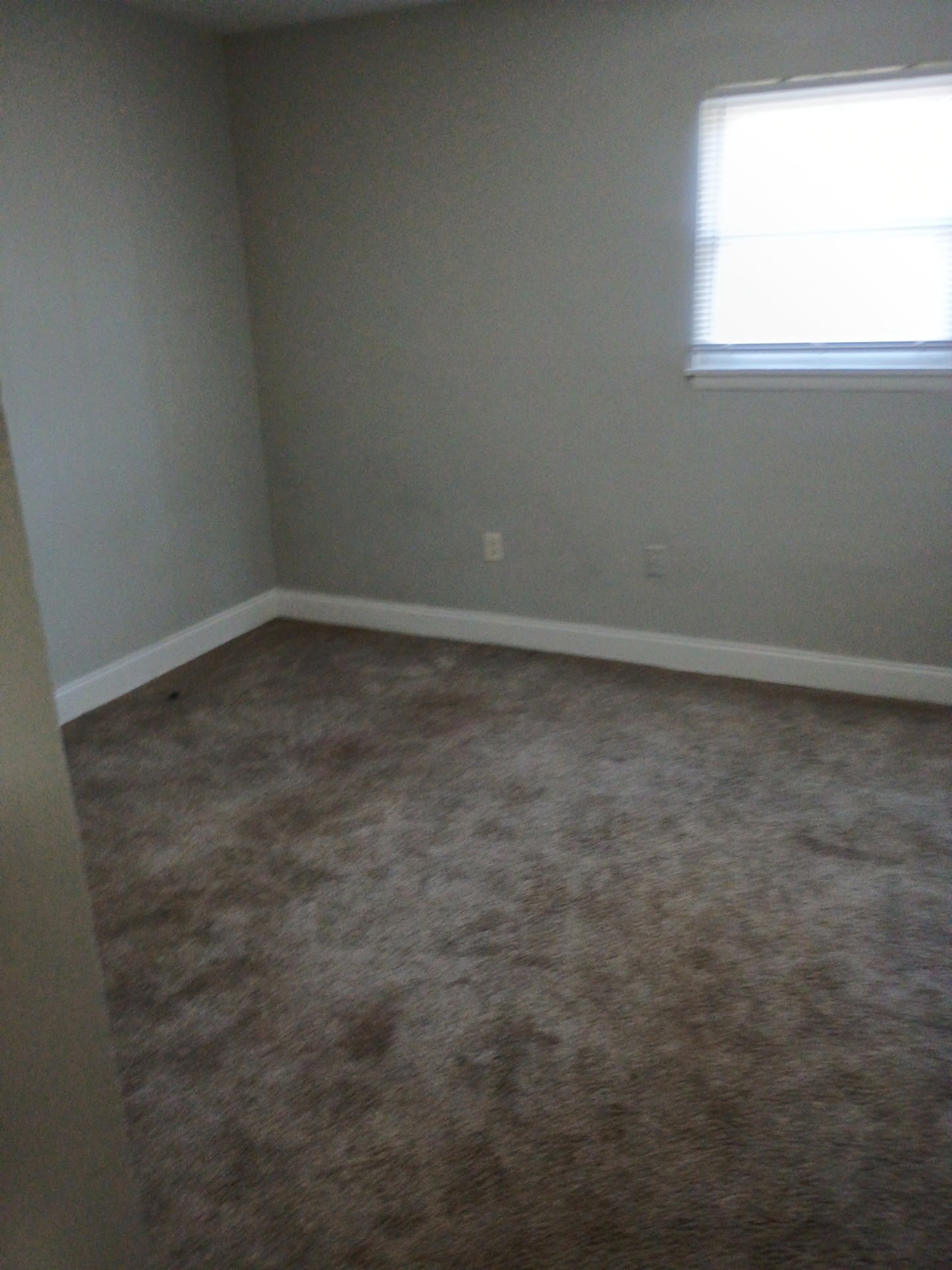 Building Photo - 4409 Norene Ln