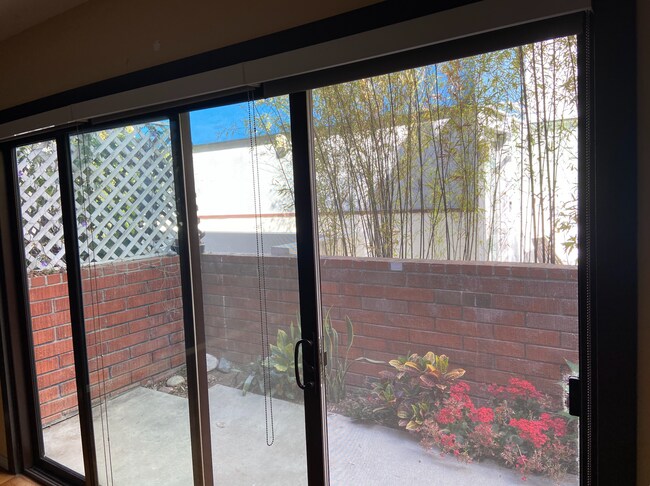 Private Patio - 1823 11th St