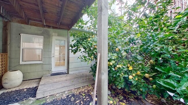 Building Photo - Room in 4 Bedroom Home at 56 Langton St