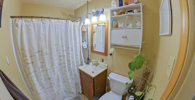 Building Photo - 3D Tour Available - Washer & Dryer Include...