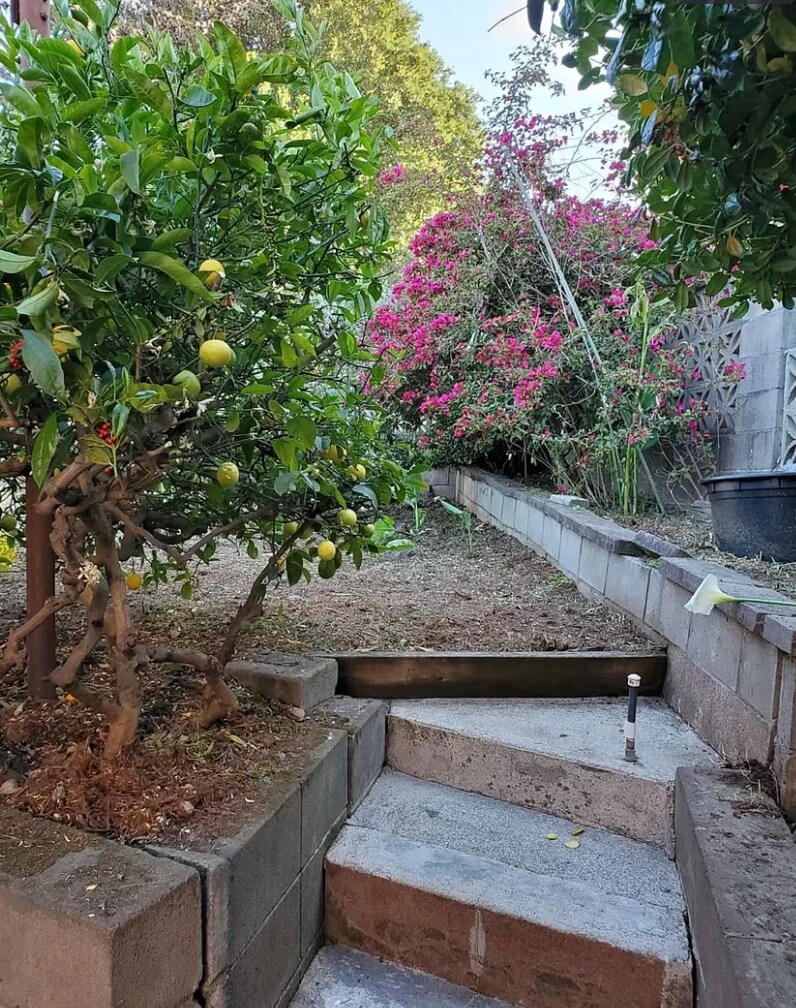 Building Photo - 6901 Sunkist Dr