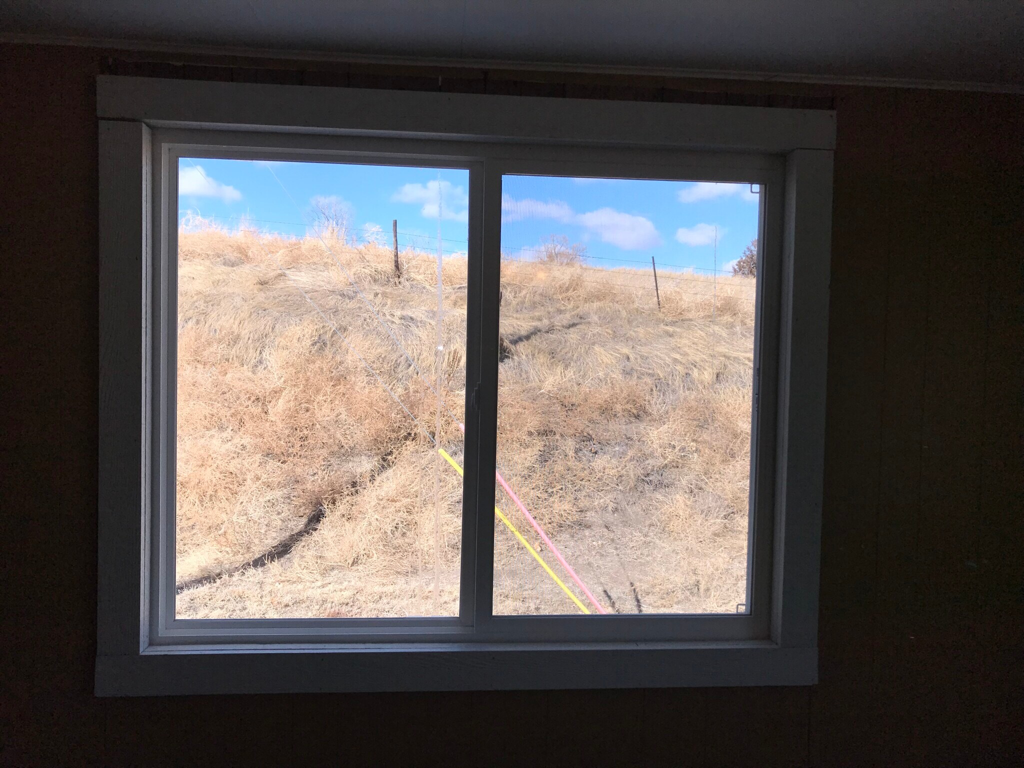 Building Photo - 804 W 1st St