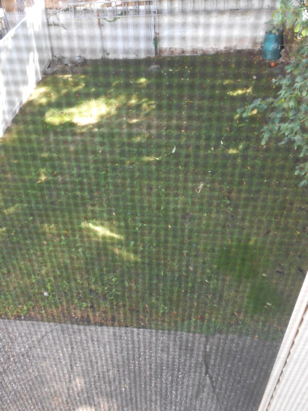 Building Photo - 244 Avenue C