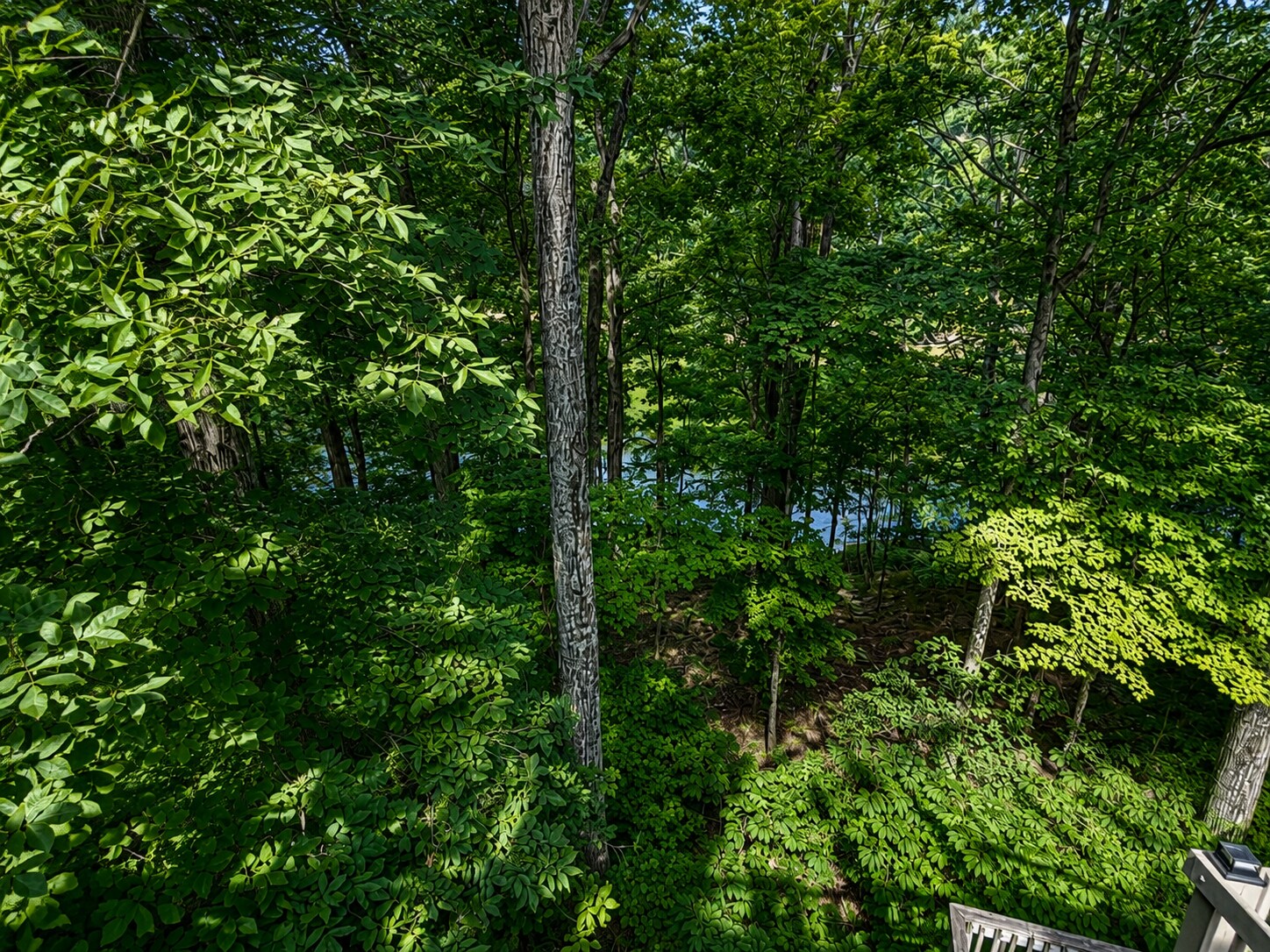 Building Photo - 9436 S Lake Ridge Dr