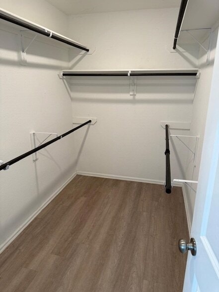 Building Photo - 5335 Winding Strm Dr