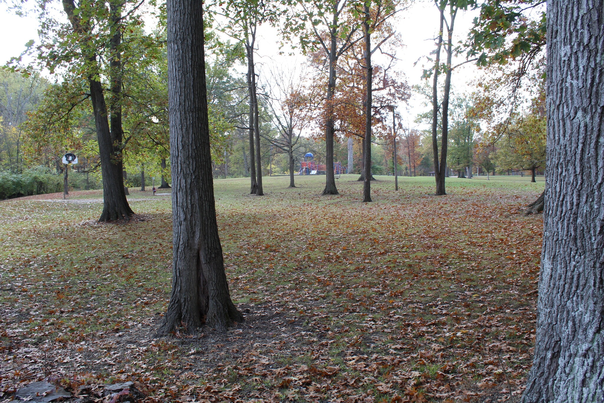 Millikin Woods Park - 1395 Ross Ave