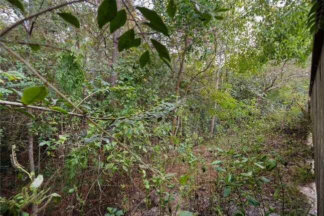 Building Photo - 239 Capriccio Ln