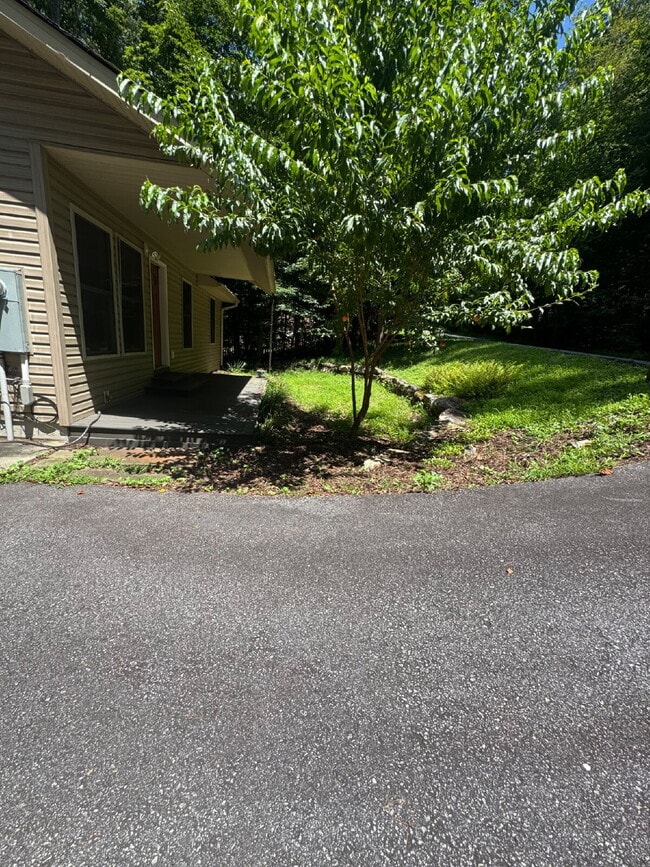Building Photo - 46 Madison Heights Dr