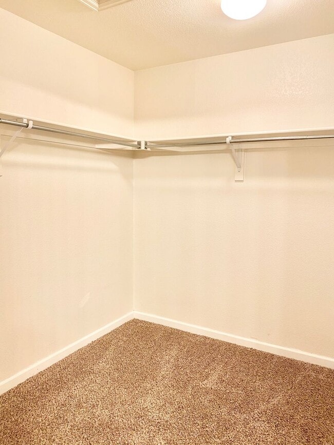 Building Photo - 4775 Hahns Peak Dr